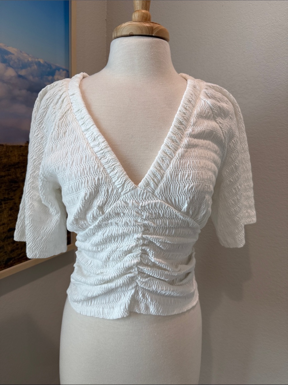LOFT White Ruched V-Neck Crop Top